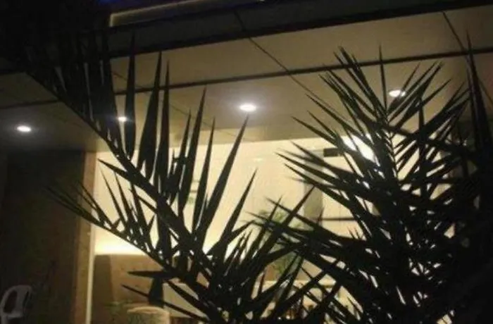 Manhattan Suites Inn