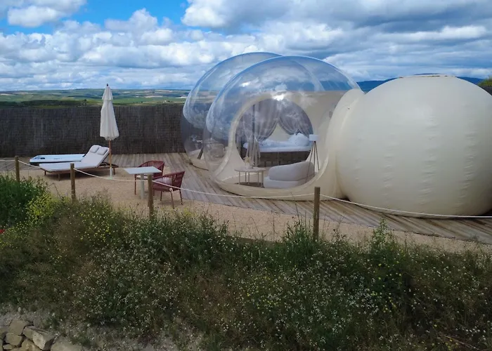 Wine Bubble