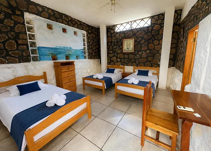 Penguin Hostel
