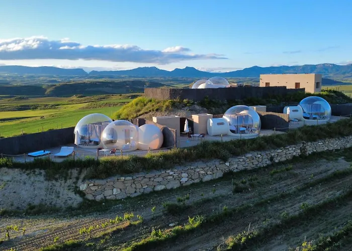 Wine Bubble