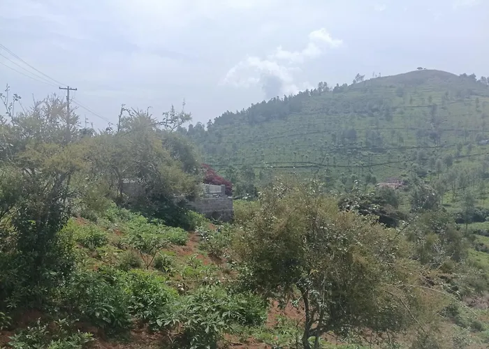 Prithivee Homestay