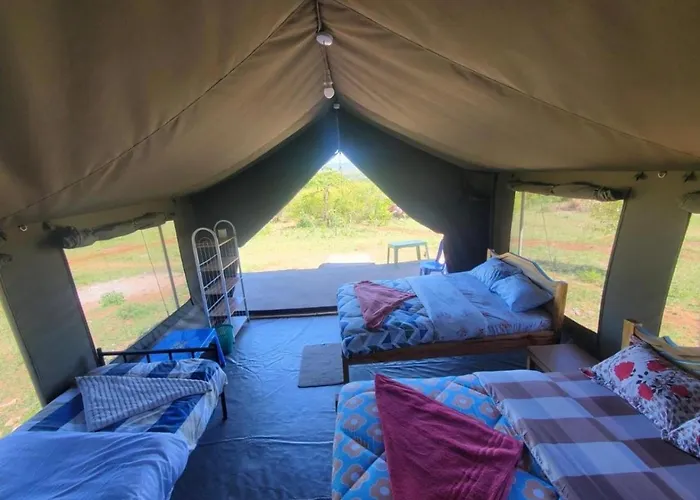 Wild Enthusiasts Camps