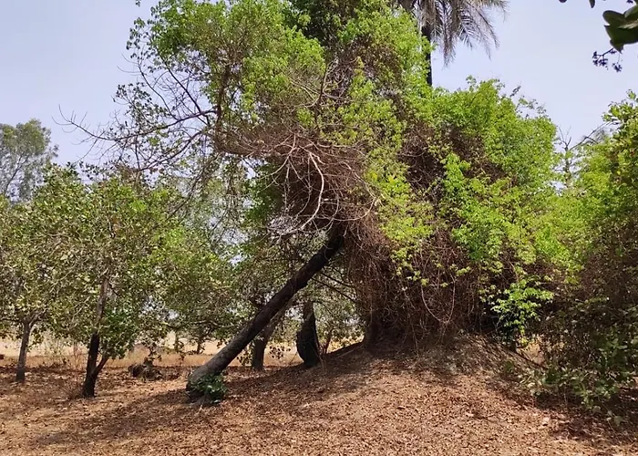 Rastacounda - Eco Lodge & Restaurant- Casamance