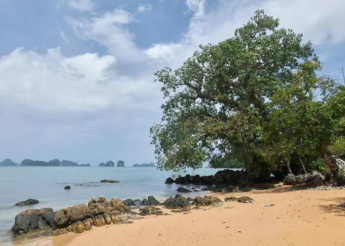 The Woods Beachfront Tent Yao Noi