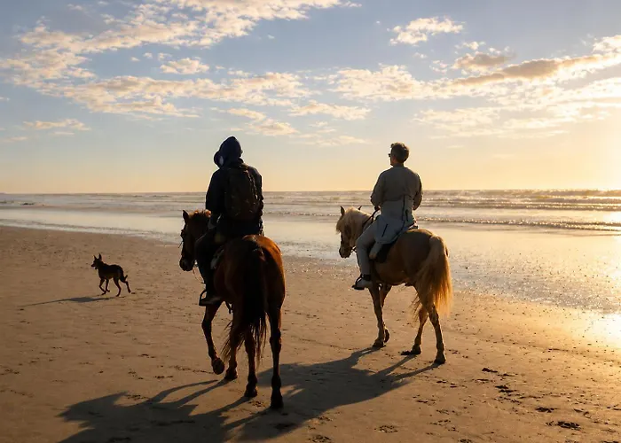 Dar Sahbi Surf & Horse