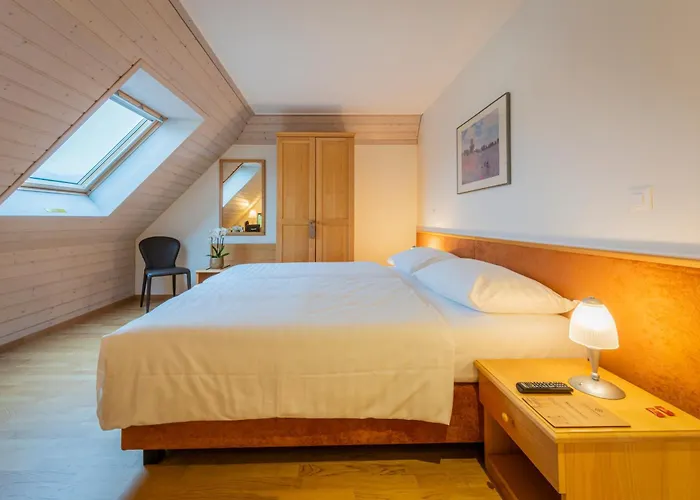 Hôtel du Cheval Blanc - City center