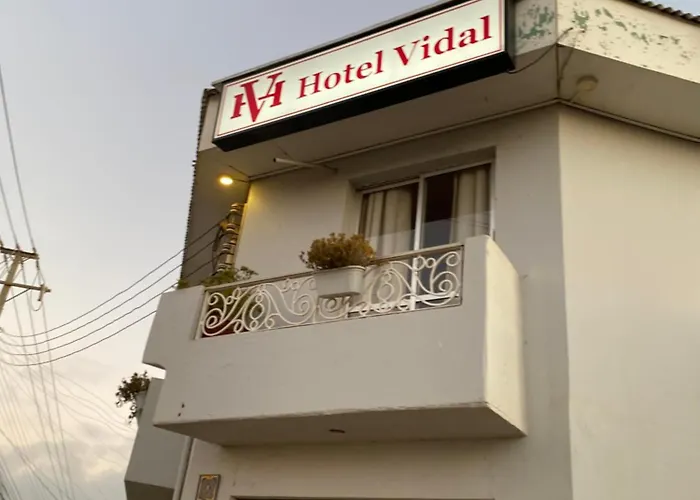 Hotel Vidal
