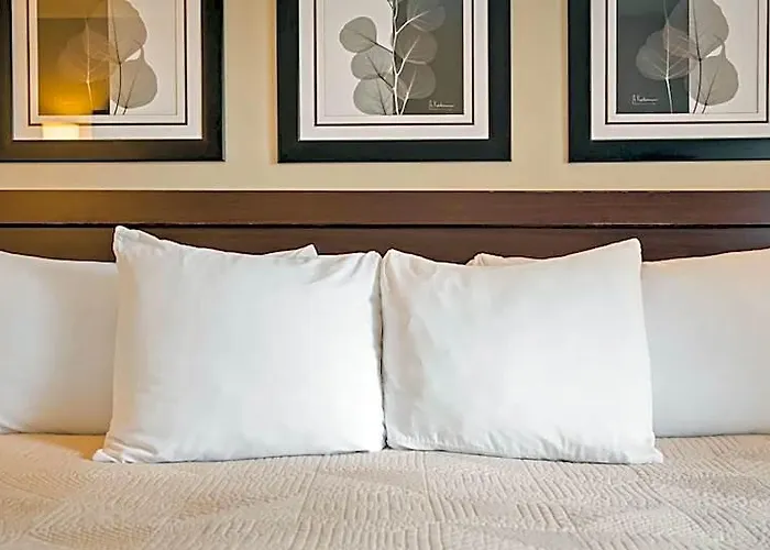 Silver Fox Inn