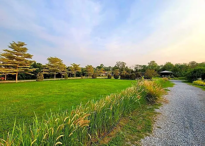 White Knot Khao Yai