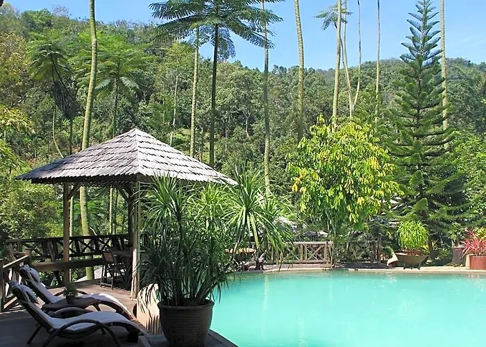 Fig Tree Hills Resort
