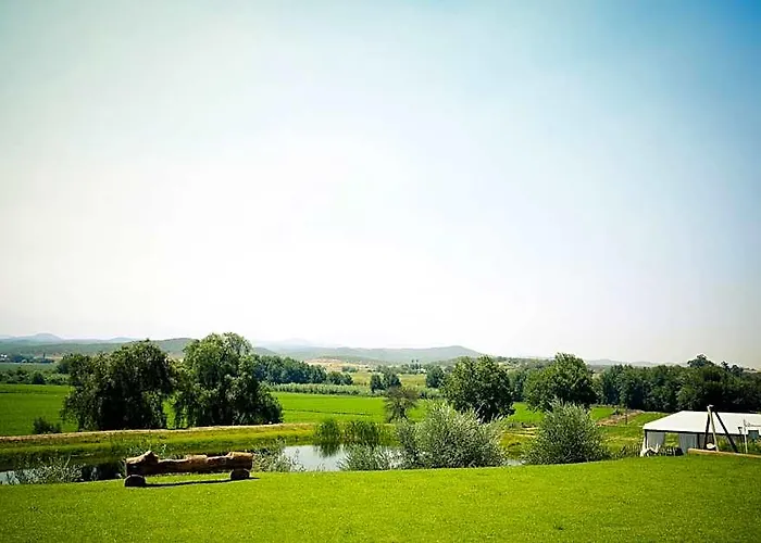 Surval Boutique Olive Estate