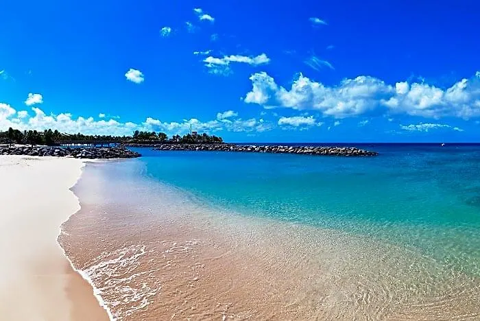 Port Ferdinand Marina And Luxury Residences
