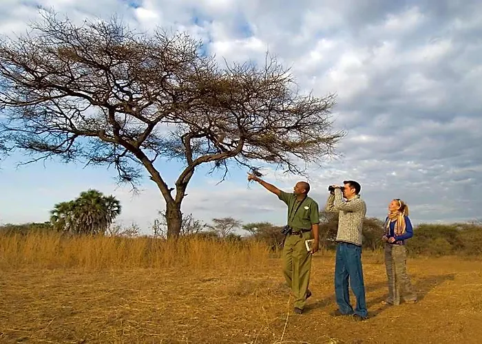Severin Safari Camp