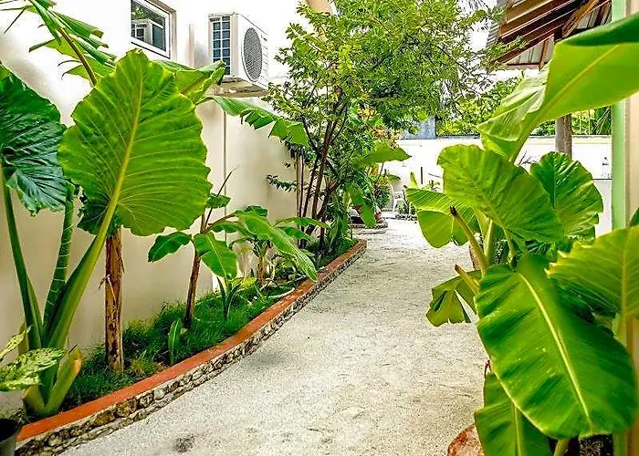 Banyan Villa
