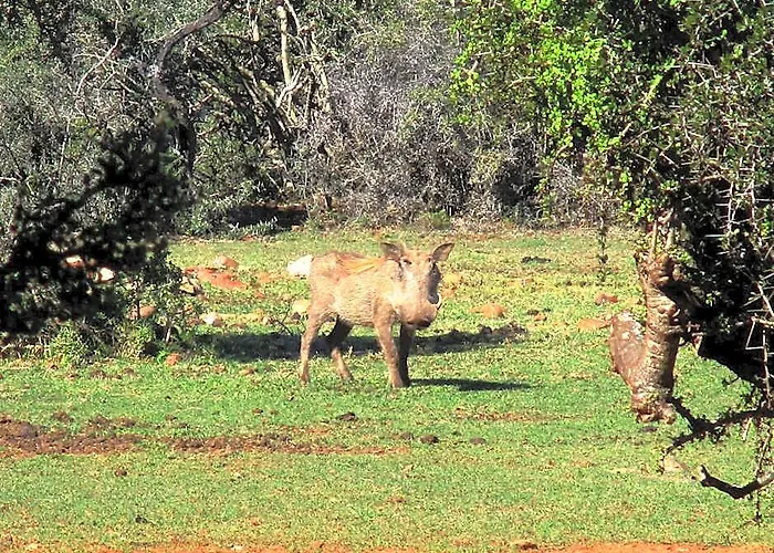 Valley Bushveld Country Lodge