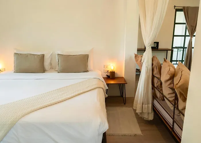 Big Tree Boutique Hotel