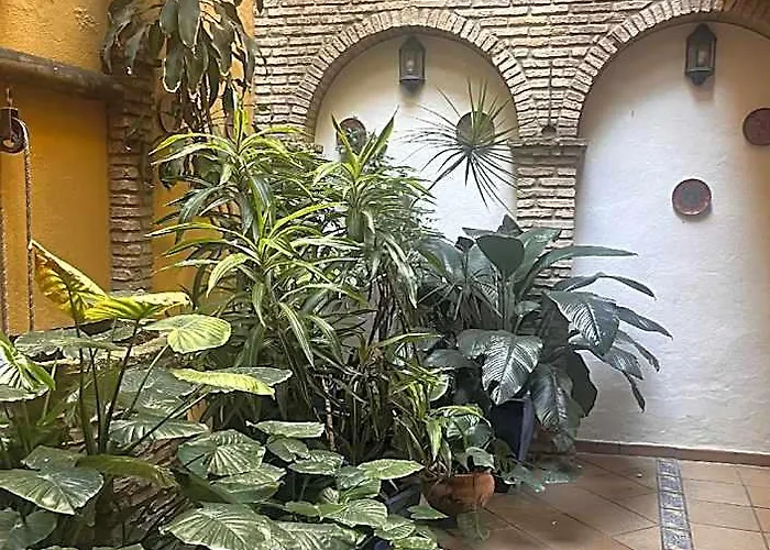 Hostal Lojo