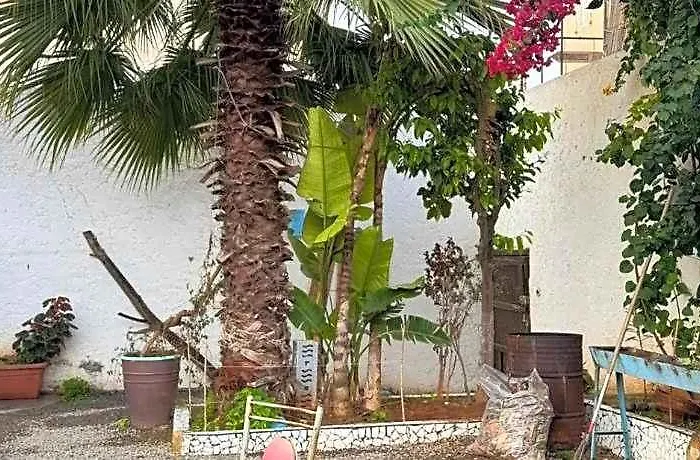 Asarag Guest House & Lodge