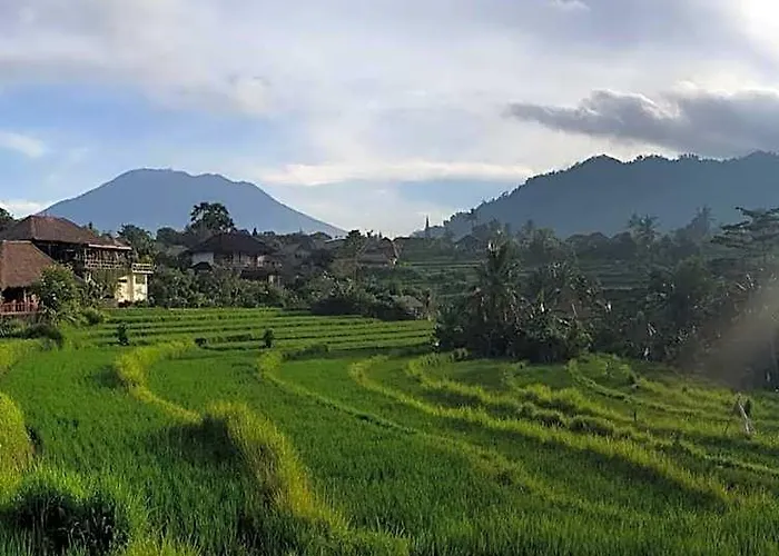 D'Janu Homestay