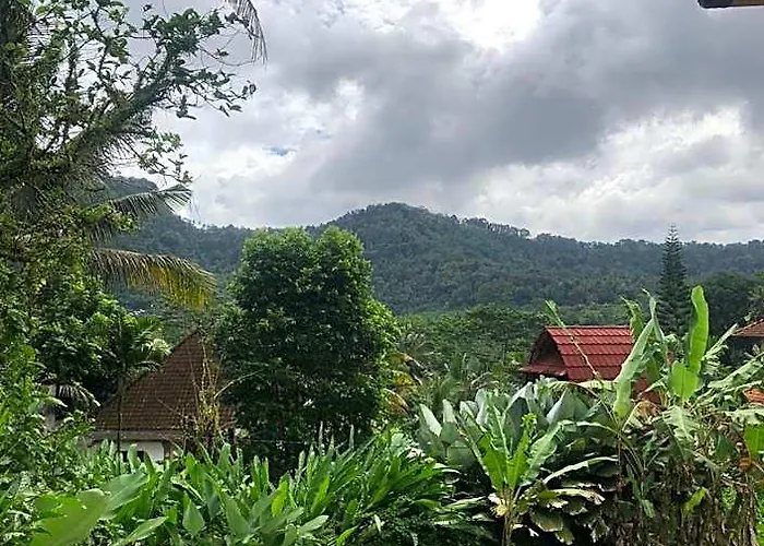 D'Janu Homestay