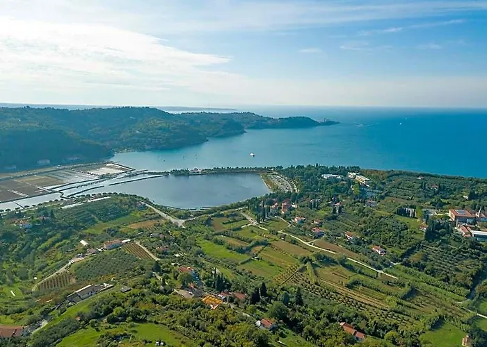 Hotel Svoboda - Terme Krka