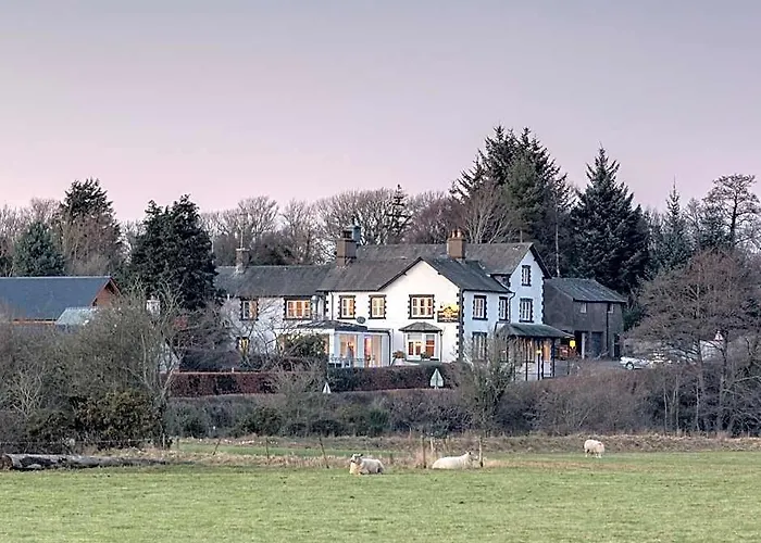 Lutwidge Arms Limited