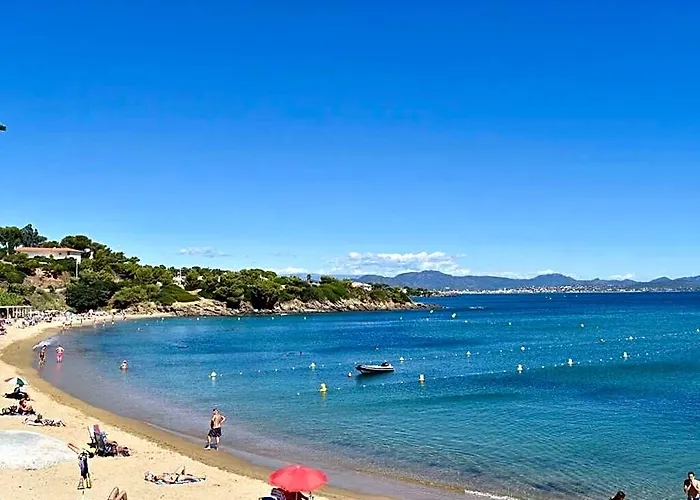 Tikki - Grimaud