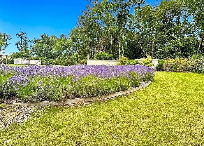 Sunny Suite Disneyland Paris - Rentaway Bnb