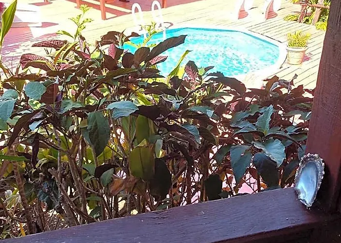 Pension Le Passage Vu Jardin/Piscine