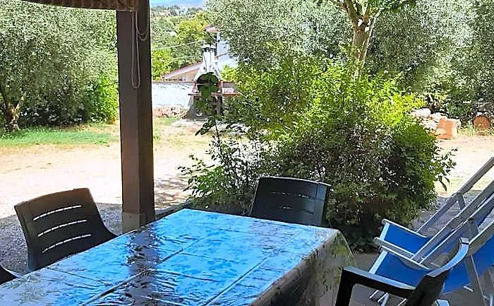 Relax Olive And Sea Sperlonga