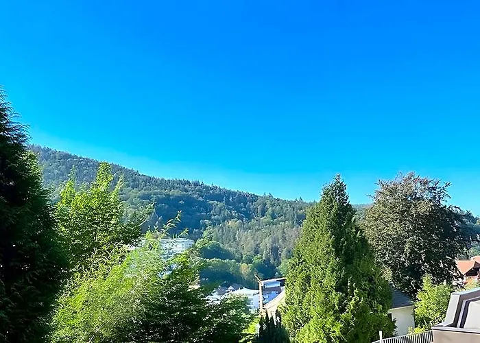 Well-Kept Flat In Bad Herrenalb With Indoor Pool