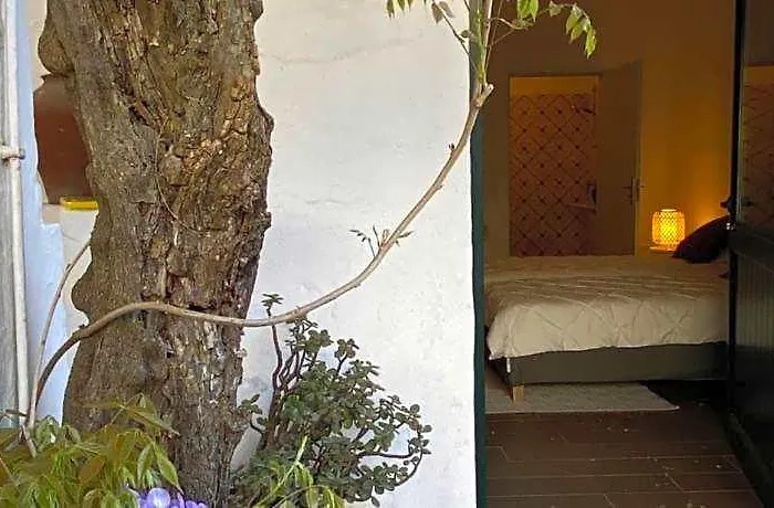 Casa Pereirinha