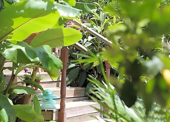 Dolphin Hotel Bozburun