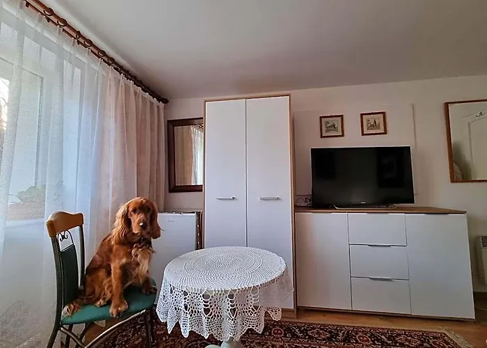 Wojciechowka