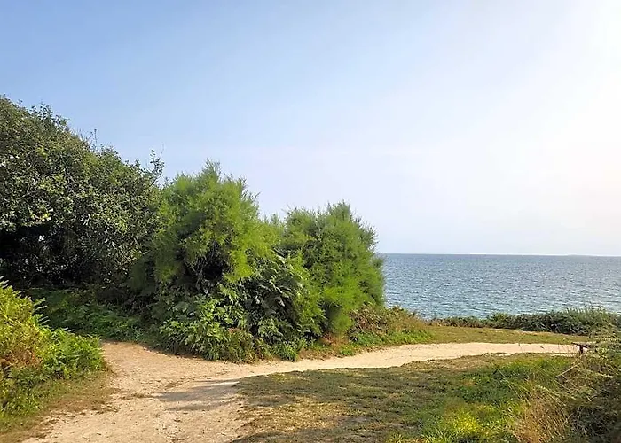 "Plage Des Dunes" Grand Studio Ouvert Face A La Plage! Avec 1 Mezzanine Et 1 Alcove