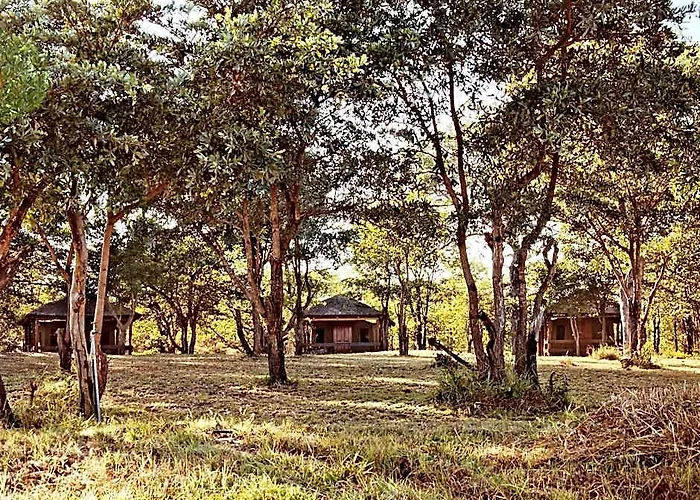 Shindzela Tented Safari Camp And Walking Safaris Accommodation