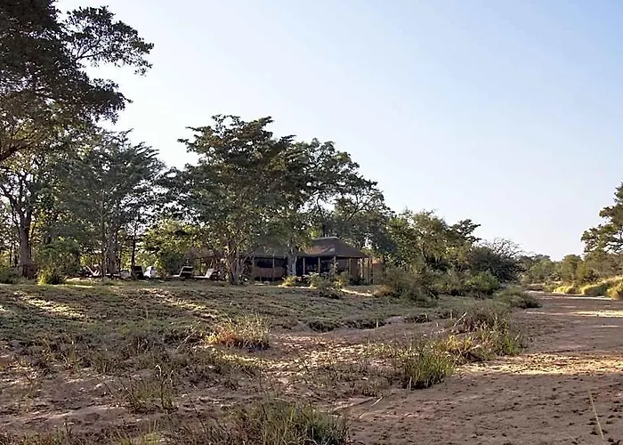 Shindzela Tented Safari Camp And Walking Safaris Accommodation