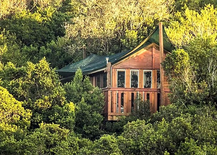 Teniqua Treetops