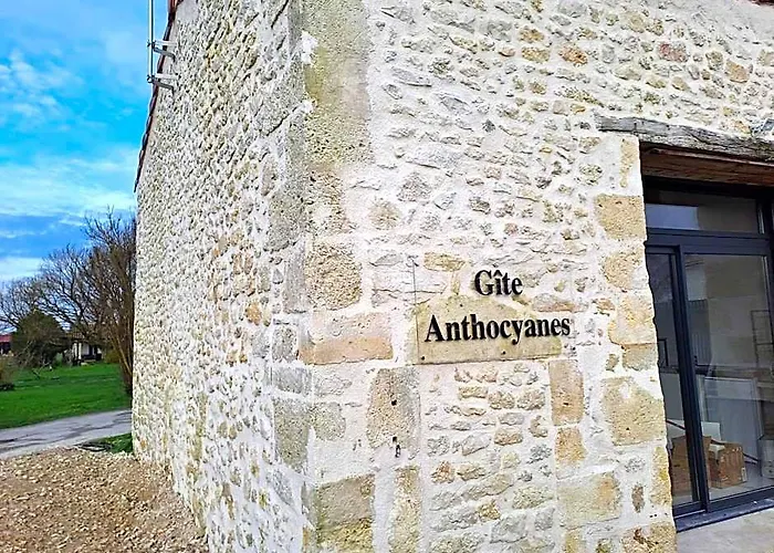 Chambres D'Hotes Chateau Pierre De Montignac