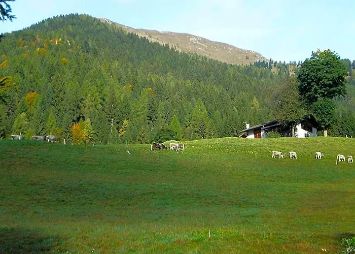 Hotel Serenella