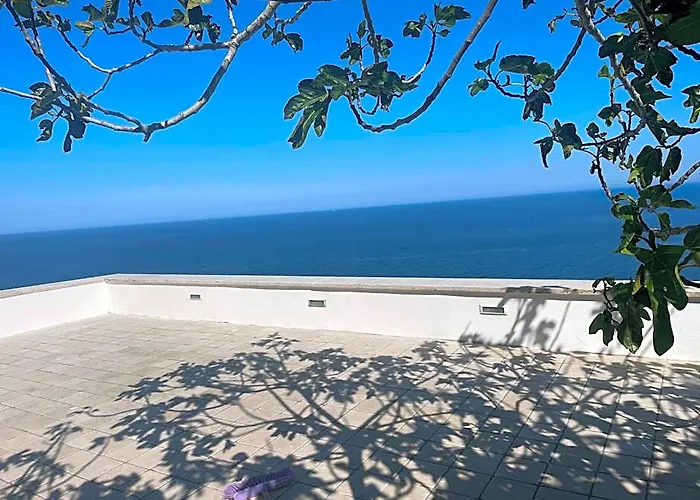 Oliventu - Tra Gli Ulivi Sul Mare