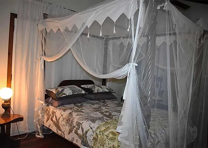 Oskar'S Rain Forest Retreat