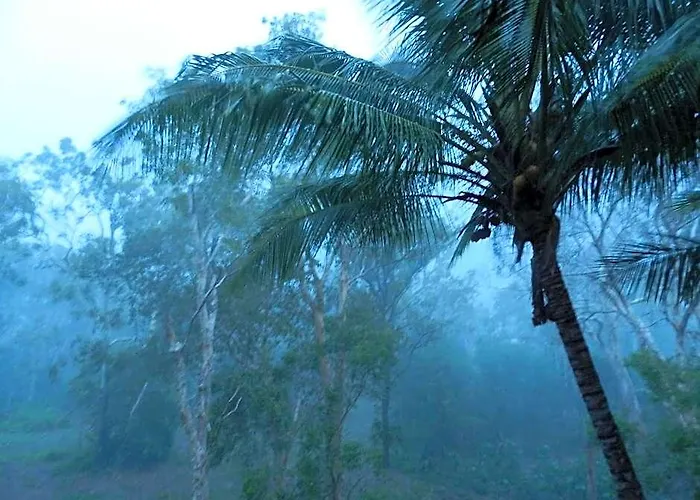 Oskar'S Rain Forest Retreat