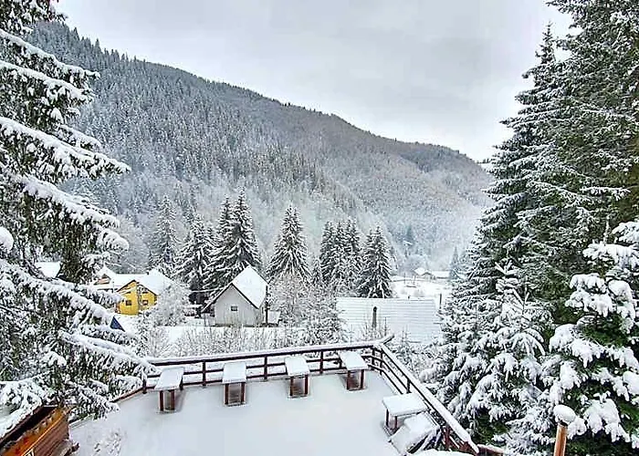 Cabana "Trei Brazi " Retezat