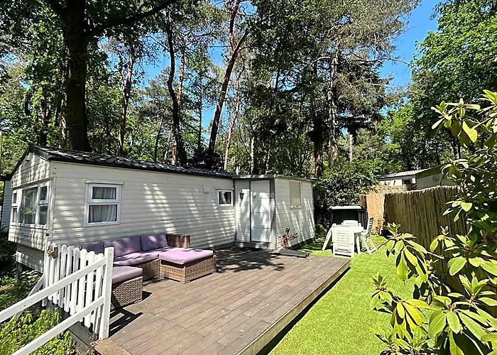 Boshuisje Met Sauna In Hoenderloo