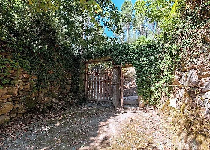 Forest House Casinha Do Carvalhal