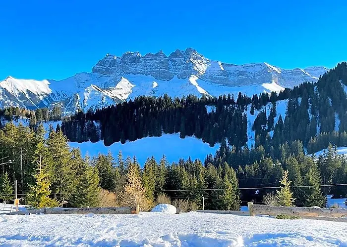 Mountain River Appart