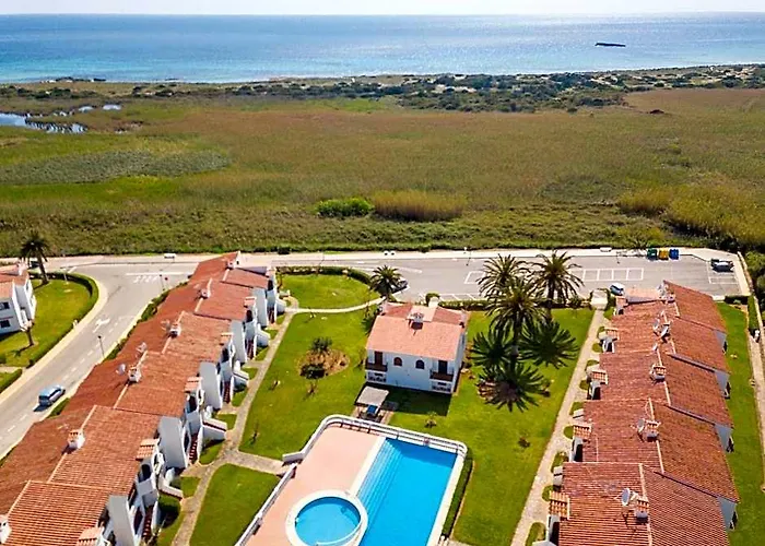 Girasol Garden Superior 2