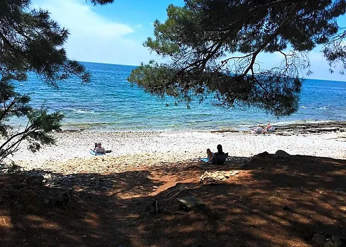 Holiday Park Mimoza