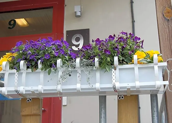 Golden Work Hostel